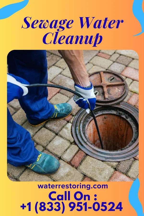 Sewage Water Cleanup in Purty Rock, NM